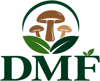 Divin Mushroom Farm logo