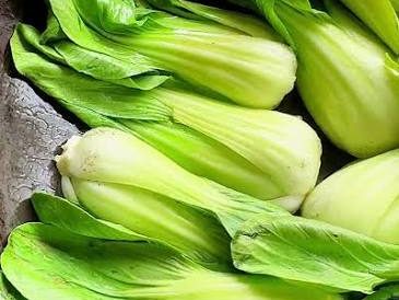 Fresh bok choy from Divin Mushroom Farm, Kharkhoda