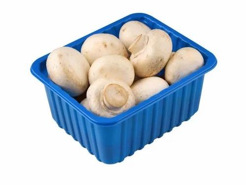 Blue mushroom packing tray (punnet) – Divin Mushroom Farm