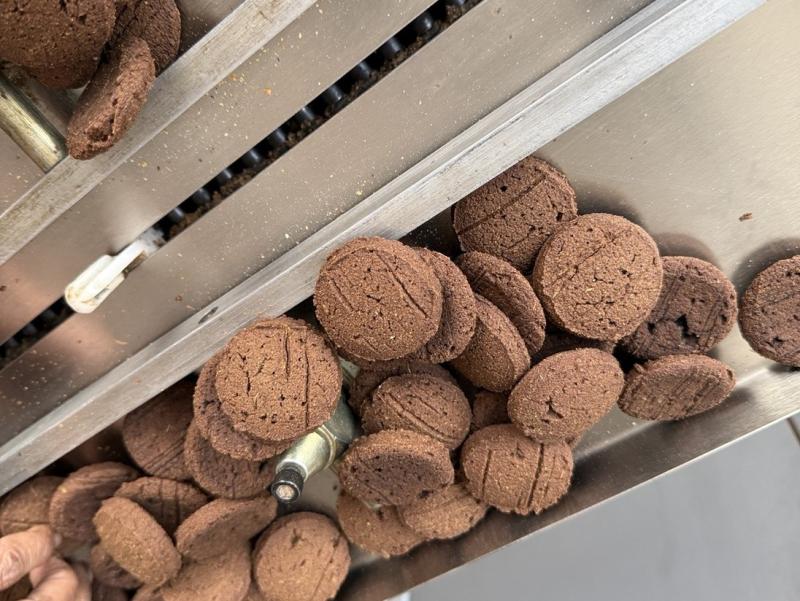 Mushroom biscuits on the packing line