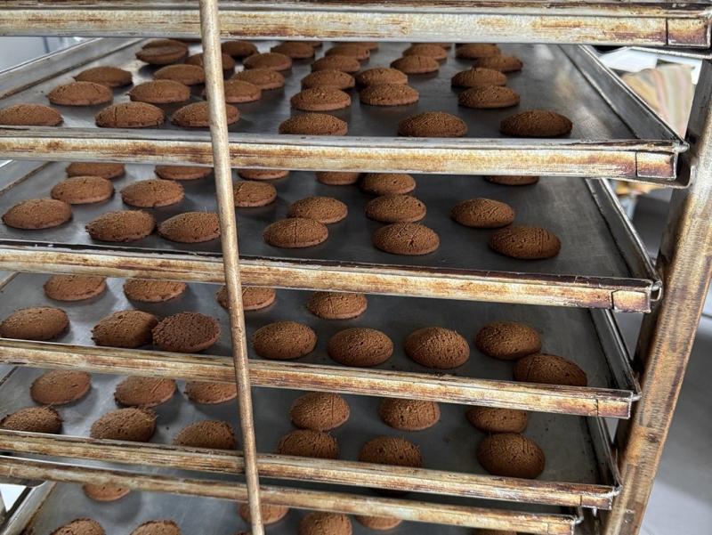 Trays of mushroom biscuits on a production rack